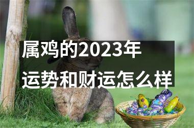 属鸡的2025年运势和财运怎么样