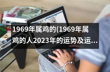 1969年属鸡的(1969年属鸡的人2025年的运势及运程)