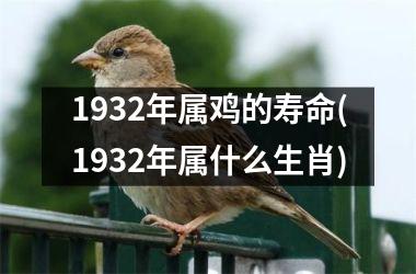 1932年属鸡的寿命(1932年属什么生肖)