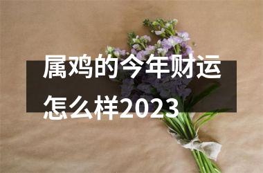 属鸡的今年财运怎么样2025