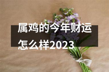 属鸡的今年财运怎么样2023