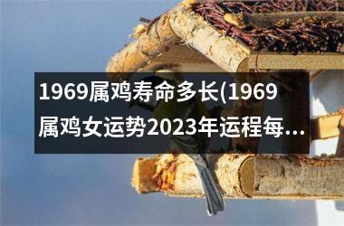1969属鸡寿命多长(1969属鸡女运势2025年运程每月运程)