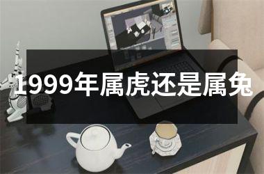 1999年属虎还是属兔