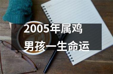 2005年属鸡男孩一生命运