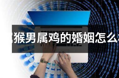 <h3>女属猴男属鸡的婚姻怎么样