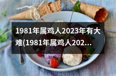 1981年属鸡人2023年有大难(1981年属鸡人2023年运势及运程每月运程)