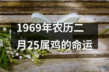 1969年农历二月25属鸡的命运