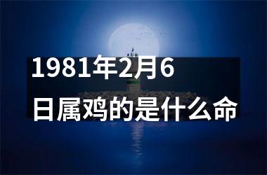 1981年2月6日属鸡的是什么命
