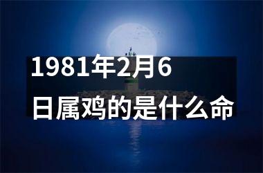 1981年2月6日属鸡的是什么命