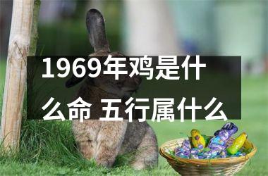 1969年鸡是什么命 五行属什么