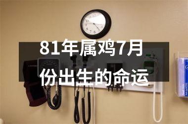 81年属鸡7月份出生的命运