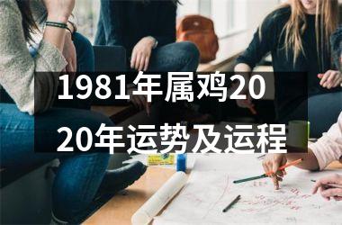 1981年属鸡2020年运势及运程