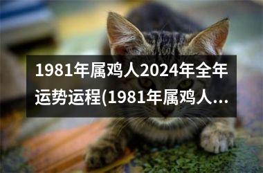 1981年属鸡人2024年全年运势运程(1981年属鸡人2024年运势及运程)