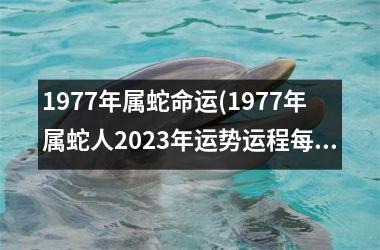 1977年属蛇命运(1977年属蛇人2025年运势运程每月运程)