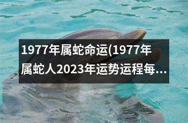 1977年属蛇命运(1977年属蛇人2023年运势运程每月运程)