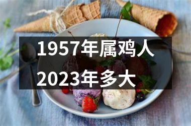 1957年属鸡人2025年多大