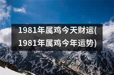 1981年属鸡今天财运(1981年属鸡今年运势)