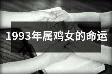 1993年属鸡女的命运