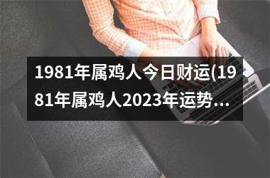 1981年属鸡人今日财运(1981年属鸡人2023年运势及运程每月运程)