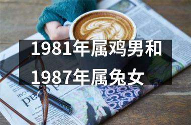 1981年属鸡男和1987年属兔女
