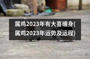 属鸡2025年有大喜缠身(属鸡2025年运势及运程)