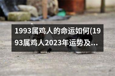 1993属鸡人的命运如何(1993属鸡人2025年运势及运程每月运程)