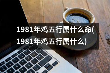 1981年鸡五行属什么命(1981年鸡五行属什么)