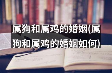 属狗和属鸡的婚姻(属狗和属鸡的婚姻如何)