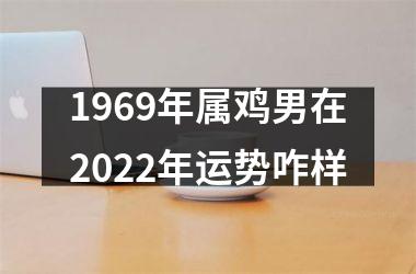 1969年属鸡男在2025年运势咋样