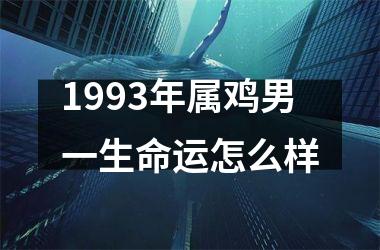 1993年属鸡男一生命运怎么样