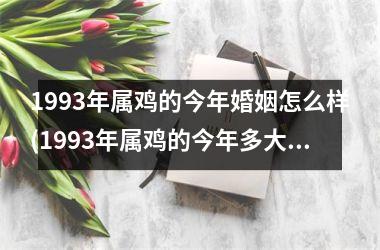 1993年属鸡的今年婚姻怎么样(1993年属鸡的今年多大了)