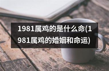 1981属鸡的是什么命(1981属鸡的婚姻和命运)