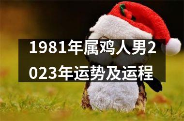 1981年属鸡人男2023年运势及运程