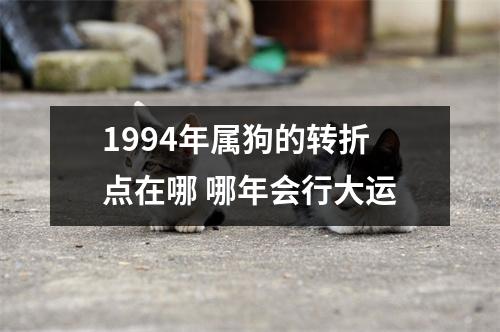 <h3>1994年属狗的转折点在哪哪年会行大运