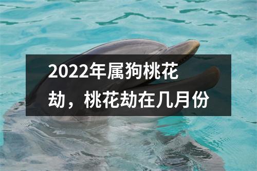 <h3>2025年属狗桃花劫，桃花劫在几月份