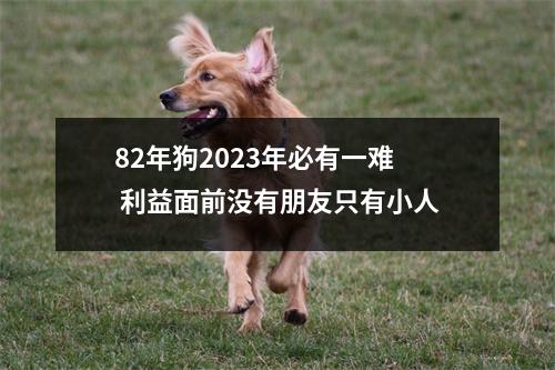 <h3>82年狗2025年必有一难利益面前没有朋友只有小人