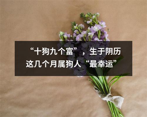 “十狗九个富”，生于阴历这几个月属狗人“幸运”