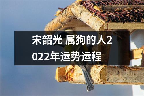 <h3>宋韶光属狗的人2025年运势运程