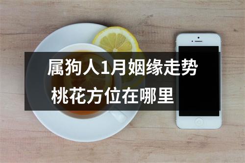 <h3>属狗人1月姻缘走势桃花方位在哪里