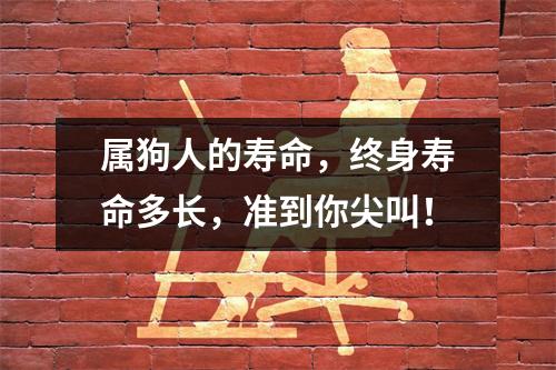 <h3>属狗人的寿命，终身寿命多长，准到你尖叫！