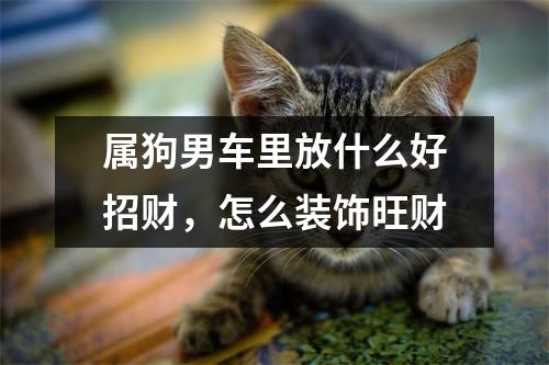 属狗男车里放什么好招财，怎么装饰旺财