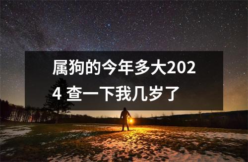 <h3>属狗的今年多大2024查一下我几岁了