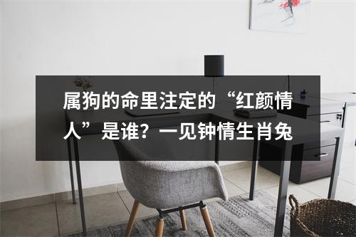 <h3>属狗的命里注定的“红颜情人”是谁？一见钟情生肖兔