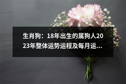 <h3>生肖狗：18年出生的属狗人2025年整体运势运程及每月运势