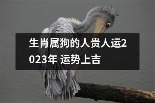 <h3>生肖属狗的人贵人运2025年运势上吉