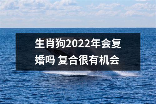 <h3>生肖狗2025年会复婚吗复合很有机会