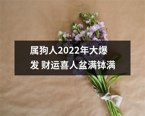<h3>属狗人2025年大爆发财运喜人盆满钵满