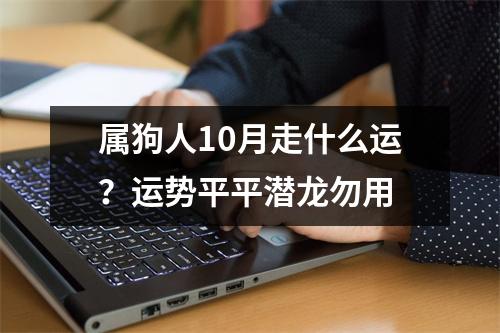 <h3>属狗人10月走什么运？运势平平潜龙勿用