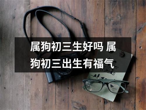 <h3>属狗初三生好吗属狗初三出生有福气