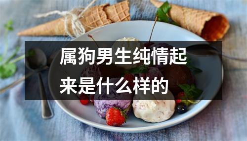 <h3>属狗男生纯情起来是什么样的